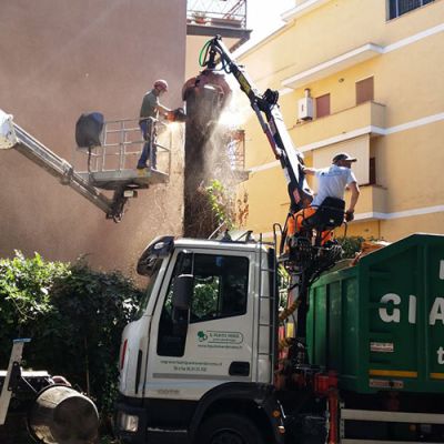 Potatura alberi Roma Il Punto Verde