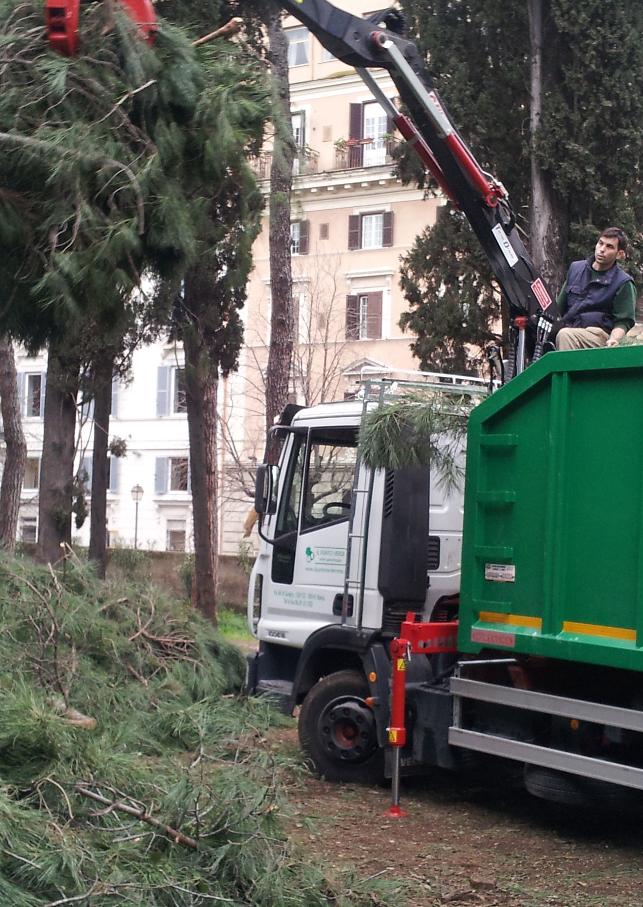 Potatura alberi alto fusto Roma Il Punto Verde